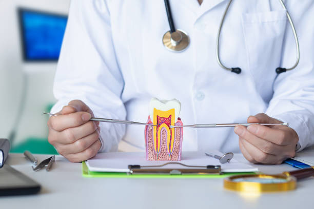 Best Urgent Tooth Repair  in Minster, OH